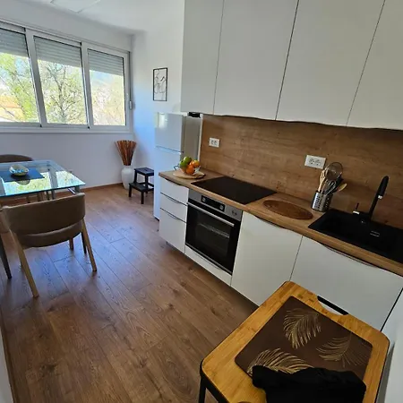 Apartment Centar *